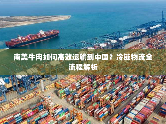 南美牛肉如何高效运输到中国？冷链物流全流程解析