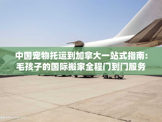 中国宠物托运到加拿大一站式指南:毛孩子的国际搬家全程门到门服务