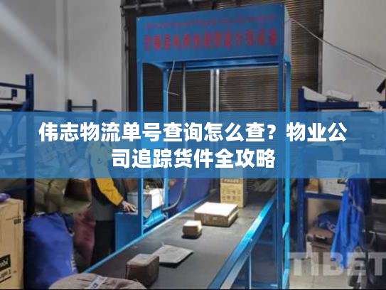伟志物流单号查询怎么查？物业公司追踪货件全攻略