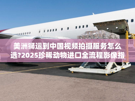 美洲狮运到中国视频拍摄服务怎么选?2025珍稀动物进口全流程影像指南