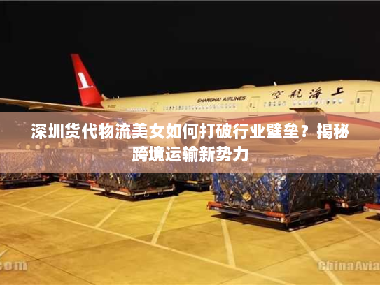 深圳货代物流美女如何打破行业壁垒？揭秘跨境运输新势力