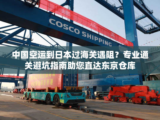 中国空运到日本过海关遇阻？专业通关避坑指南助您直达东京仓库