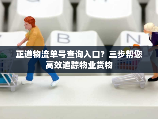 正道物流单号查询入口？三步帮您高效追踪物业货物
