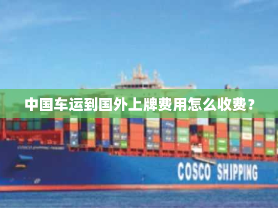 中国车运到国外上牌费用怎么收费？