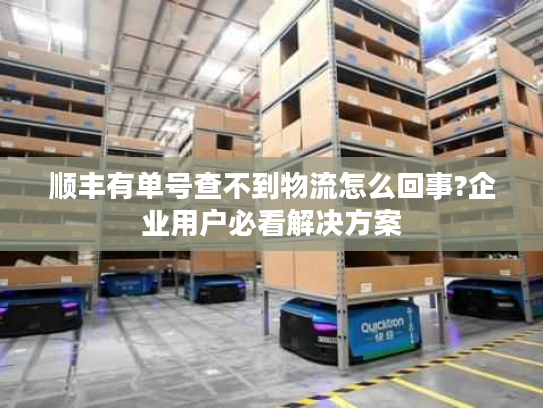顺丰有单号查不到物流怎么回事?企业用户必看解决方案