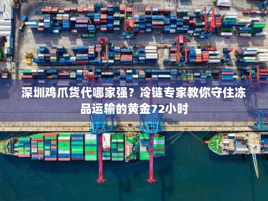 深圳鸡爪货代哪家强？冷链专家教你守住冻品运输的黄金72小时