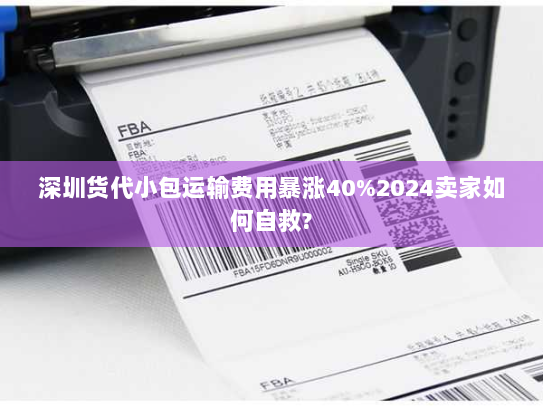 深圳货代小包运输费用暴涨40%2024卖家如何自救? 深圳货代小包运输费用暴涨40%2024卖家如何自救?