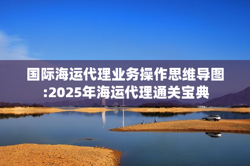 国际海运代理业务操作思维导图:2025年海运代理通关宝典