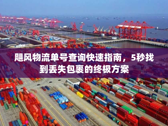 飓风物流单号查询快速指南，5秒找到丢失包裹的终极方案