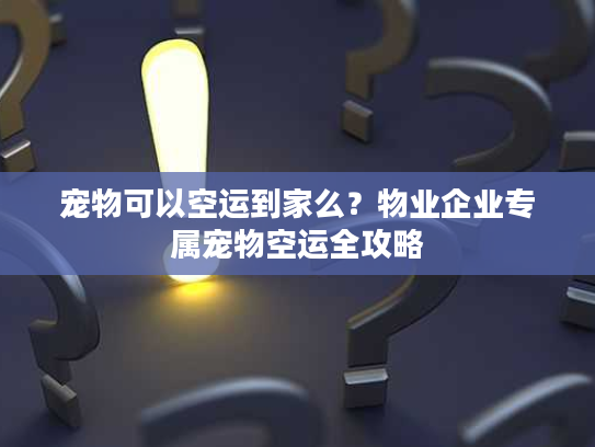 宠物可以空运到家么？物业企业专属宠物空运全攻略