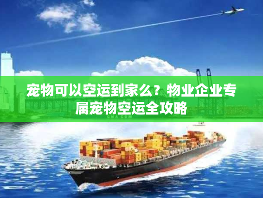 宠物可以空运到家么？物业企业专属宠物空运全攻略