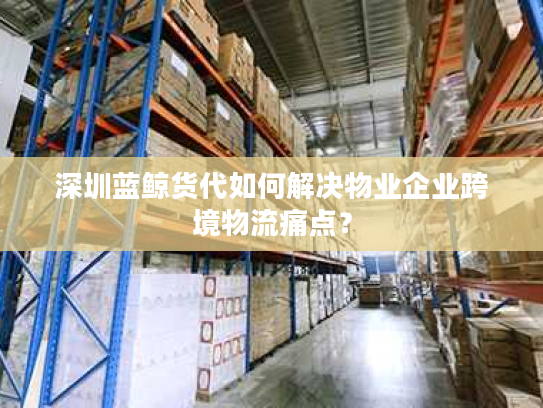 深圳蓝鲸货代如何解决物业企业跨境物流痛点？