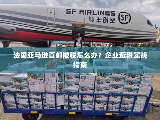 法国亚马逊直邮被税怎么办?企业避税实战指南 法国亚马逊直邮被税怎么办?企业避税实战指南