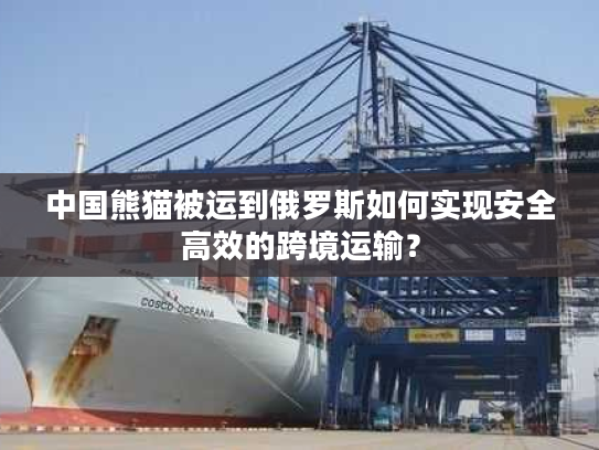 中国熊猫被运到俄罗斯如何实现安全高效的跨境运输? 中国熊猫被运到俄罗斯如何实现安全高效的跨境运输?