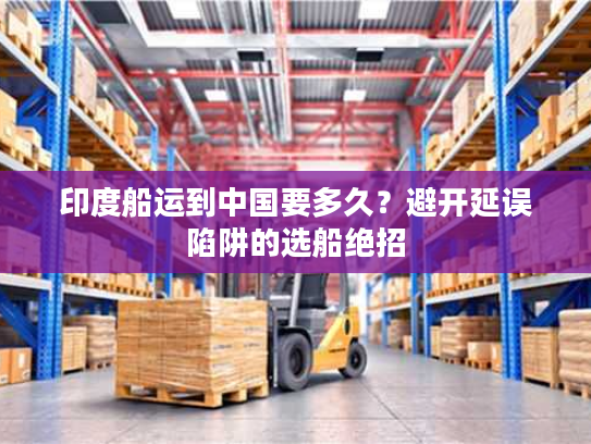 印度船运到中国要多久？避开延误陷阱的选船绝招