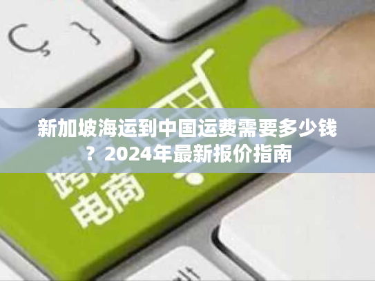 新加坡海运到中国运费需要多少钱？2024年最新报价指南