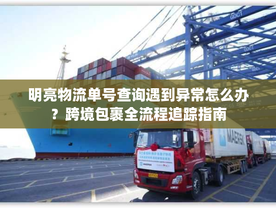 明亮物流单号查询遇到异常怎么办？跨境包裹全流程追踪指南
