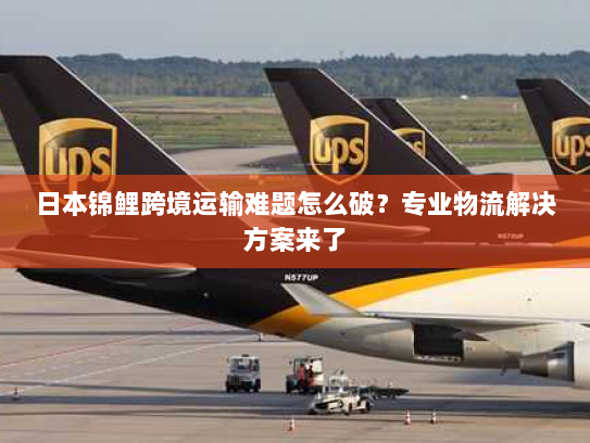 日本锦鲤跨境运输难题怎么破？专业物流解决方案来了