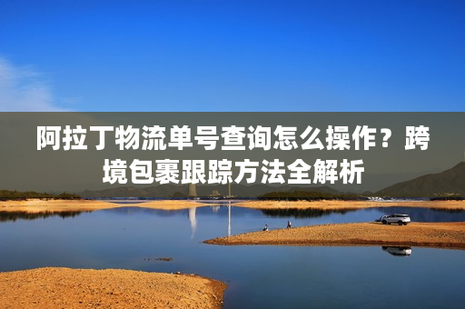 阿拉丁物流单号查询怎么操作？跨境包裹跟踪方法全解析