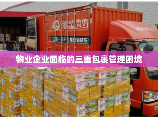 物业企业面临的三重包裹管理困境