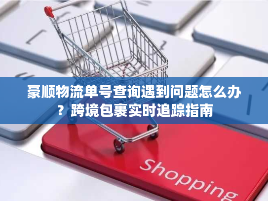 豪顺物流单号查询遇到问题怎么办？跨境包裹实时追踪指南