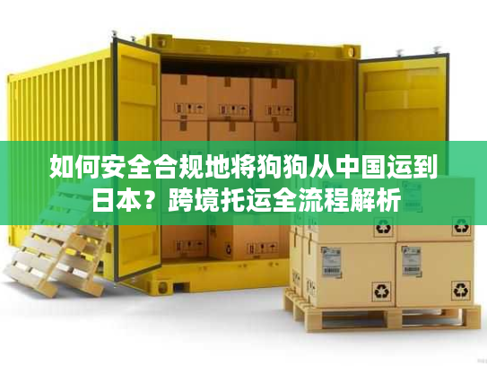 如何安全合规地将狗狗从中国运到日本？跨境托运全流程解析