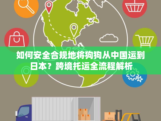 如何安全合规地将狗狗从中国运到日本？跨境托运全流程解析