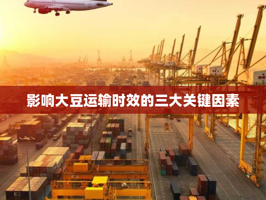 影响大豆运输时效的三大关键因素