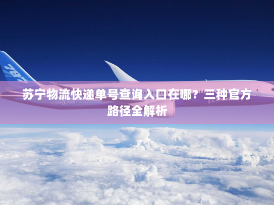苏宁物流快递单号查询入口在哪？三种官方路径全解析