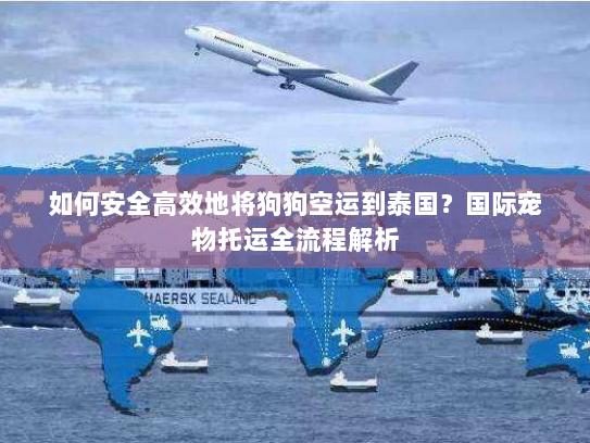 如何安全高效地将狗狗空运到泰国？国际宠物托运全流程解析