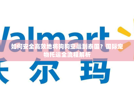 如何安全高效地将狗狗空运到泰国？国际宠物托运全流程解析