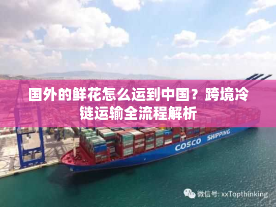 国外的鲜花怎么运到中国？跨境冷链运输全流程解析