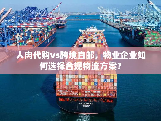 人肉代购vs跨境直邮，物业企业如何选择合规物流方案？