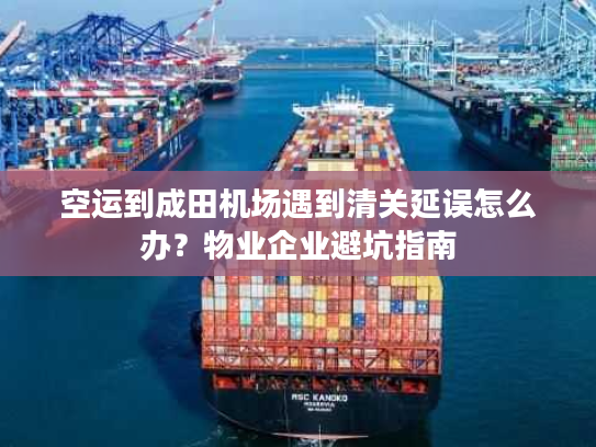 空运到成田机场遇到清关延误怎么办?物业企业避坑指南 空运到成田机场遇到清关延误怎么办?物业企业避坑指南