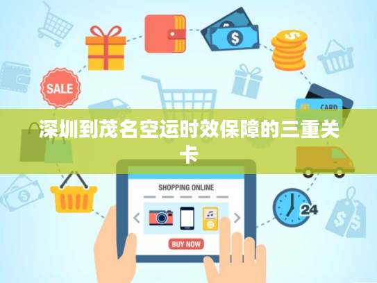 深圳到茂名空运时效保障的三重关卡