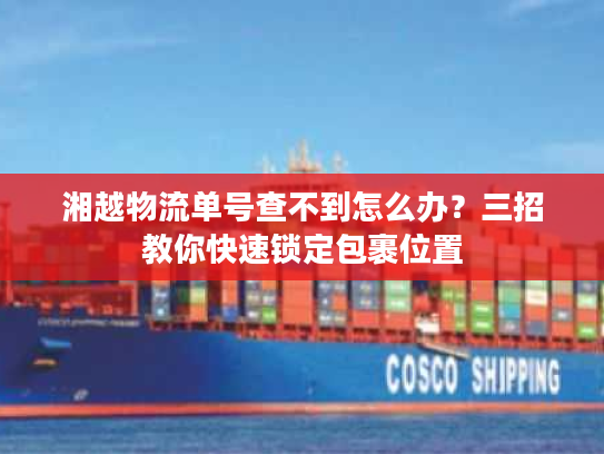 湘越物流单号查不到怎么办？三招教你快速锁定包裹位置