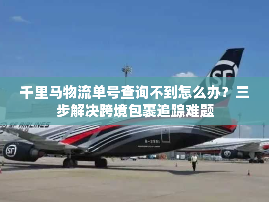 千里马物流单号查询不到怎么办？三步解决跨境包裹追踪难题