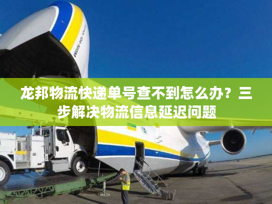 龙邦物流快递单号查不到怎么办？三步解决物流信息延迟问题