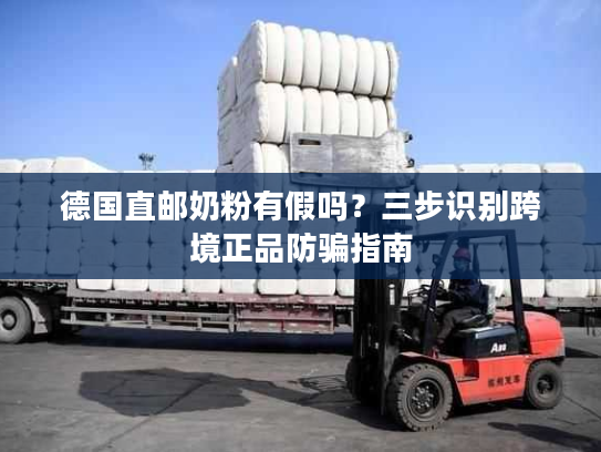 德国直邮奶粉有假吗?三步识别跨境正品防骗指南 德国直邮奶粉有假吗?三步识别跨境正品防骗指南