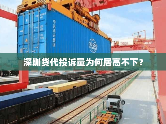深圳货代投诉量为何居高不下？