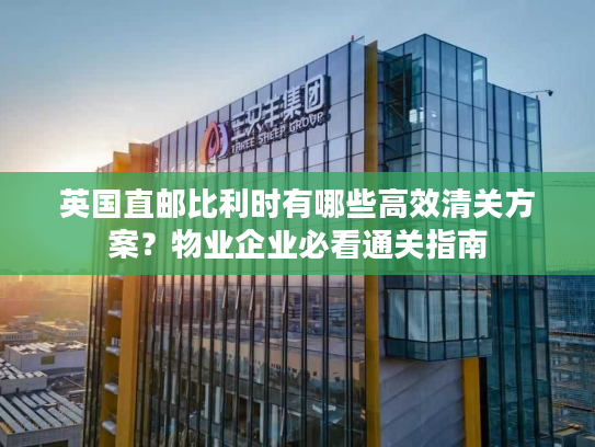 英国直邮比利时有哪些高效清关方案？物业企业必看通关指南