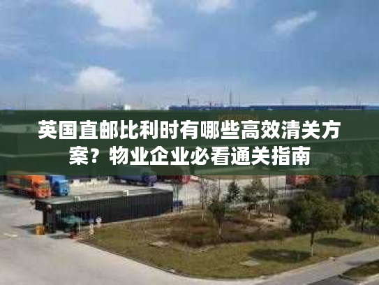 英国直邮比利时有哪些高效清关方案？物业企业必看通关指南