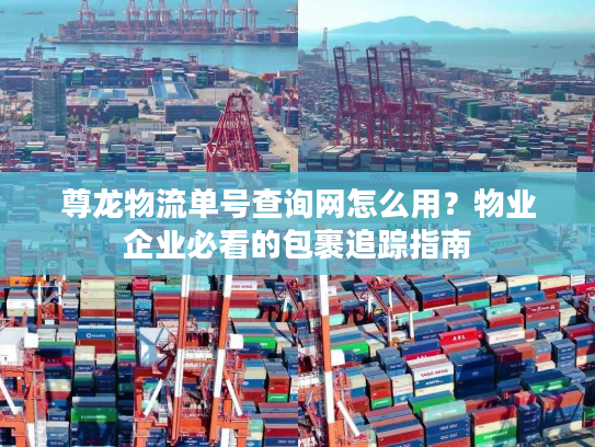 尊龙物流单号查询网怎么用？物业企业必看的包裹追踪指南