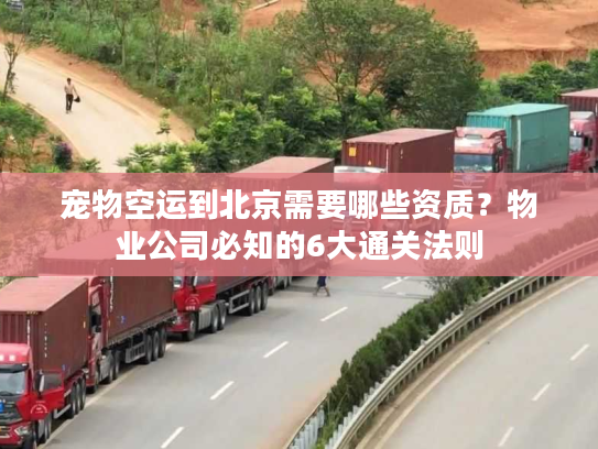 宠物空运到北京需要哪些资质？物业公司必知的6大通关法则