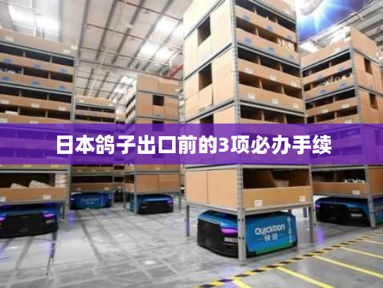 日本鸽子出口前的3项必办手续