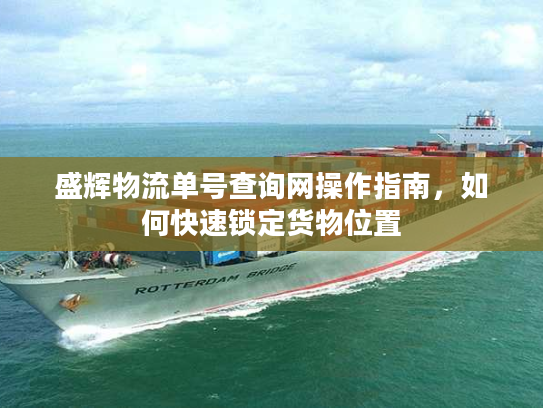 盛辉物流单号查询网操作指南，如何快速锁定货物位置