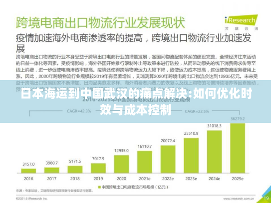 日本海运到中国武汉的痛点解决:如何优化时效与成本控制 日本海运到中国武汉的痛点解决:如何优化时效与成本控制