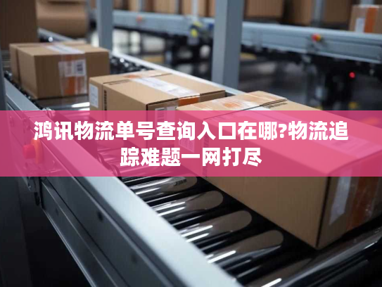鸿讯物流单号查询入口在哪?物流追踪难题一网打尽
