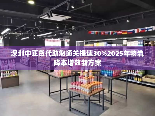 深圳中正货代助您通关提速30%2025年物流降本增效新方案 深圳中正货代助您通关提速30%2025年物流降本增效新方案
