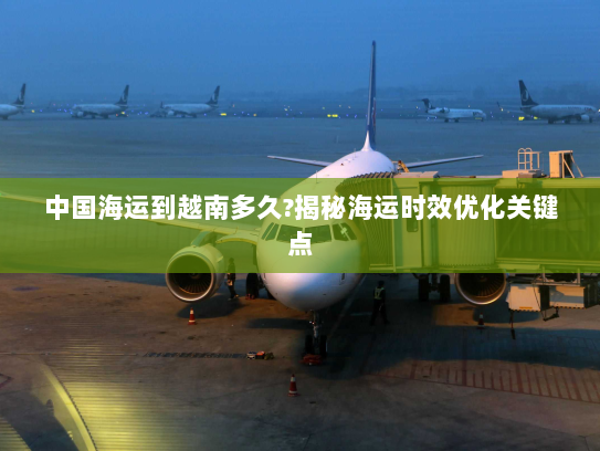中国海运到越南多久?揭秘海运时效优化关键点